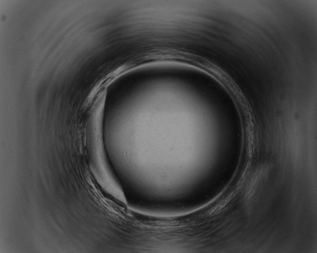 X0000051860857200507012339