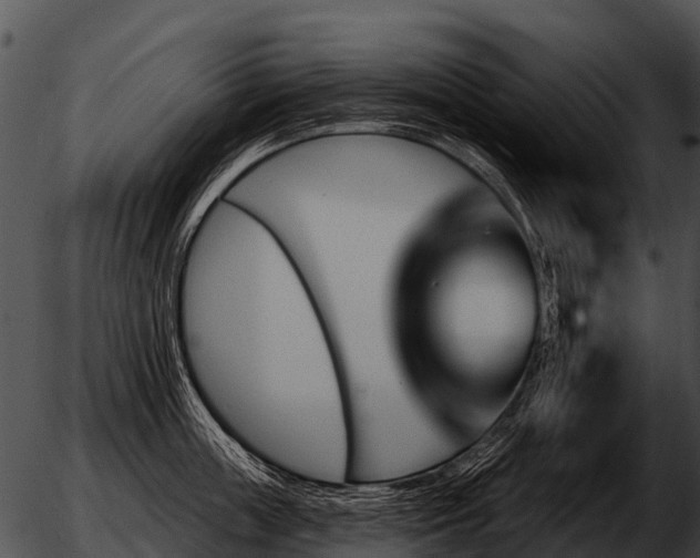 X0000051860859200507012339