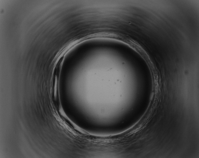 X0000051860860200507012339