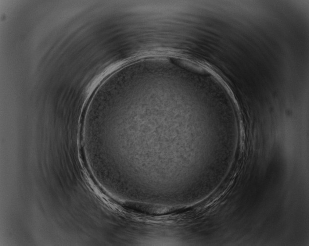 X0000051860861200507012339