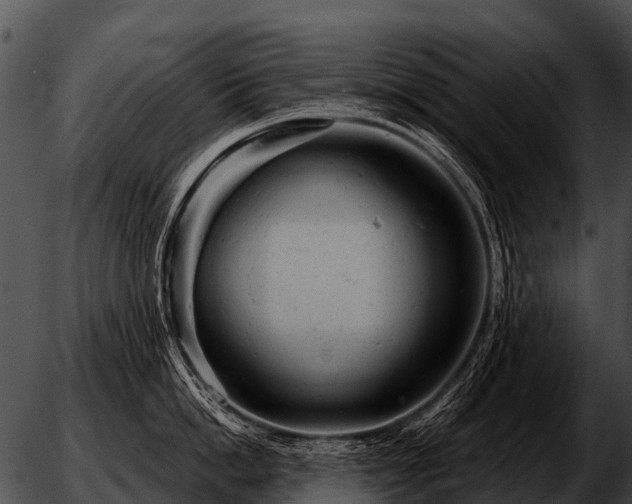 X0000051860862200507012339