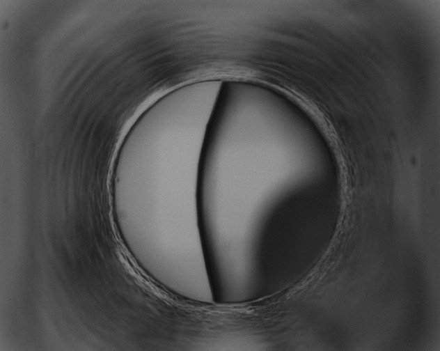 X0000051860864200507012339