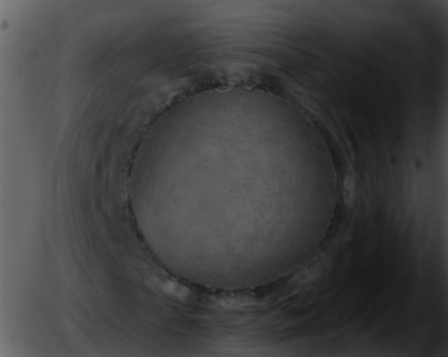 X0000051860865200507012338