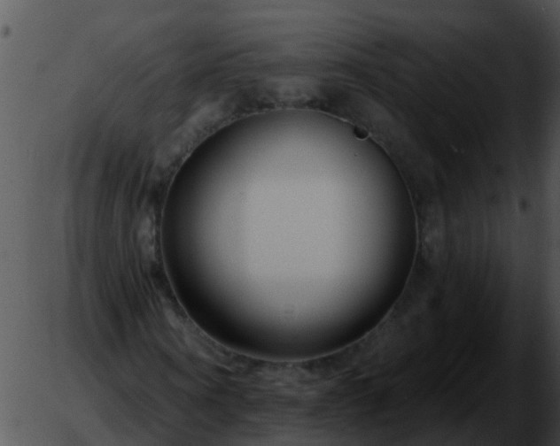 X0000051860866200507012338