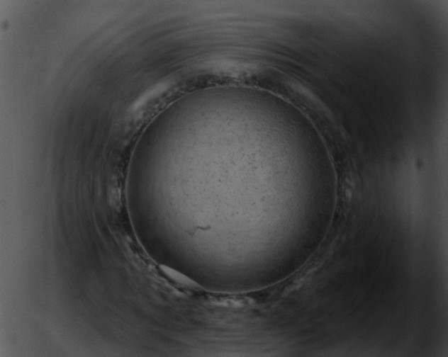 X0000051860869200507012338