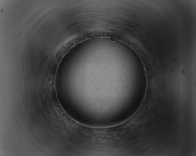 X0000051860870200507012338