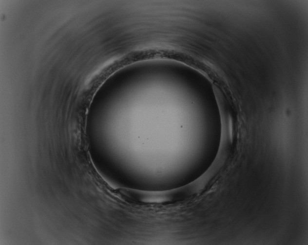 X0000051860872200507012338