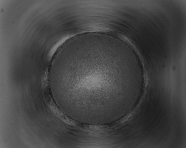 X0000051860875200507012338