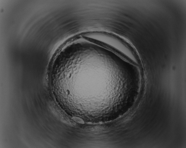 X0000051860879200507012338