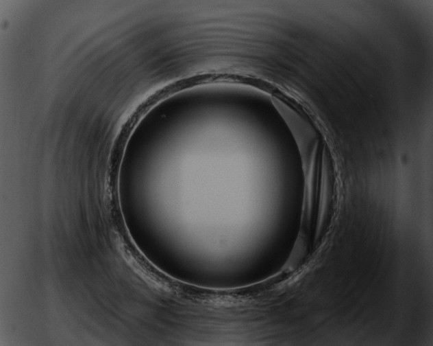 X0000051860880200507012338