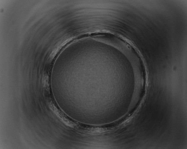 X0000051860881200507012338