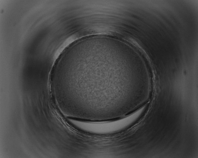 X0000051860883200507012338