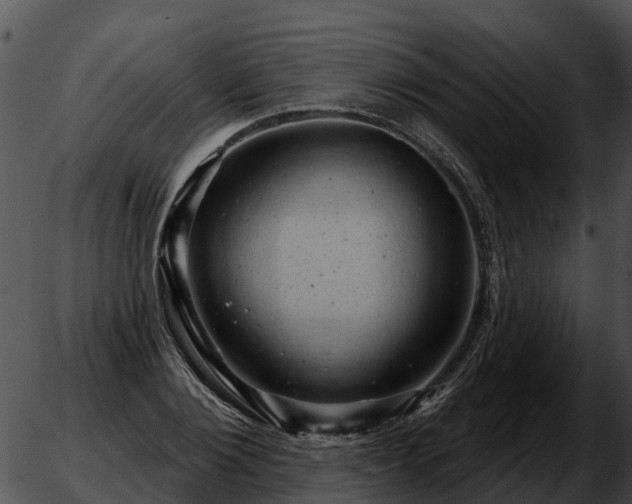 X0000051860884200507012338