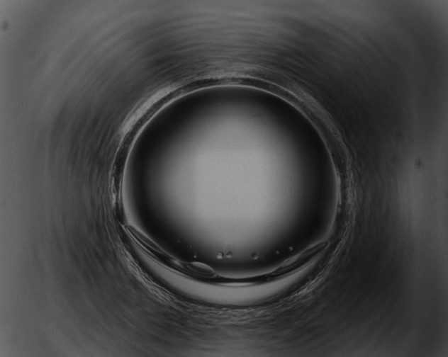 X0000051860885200507012338