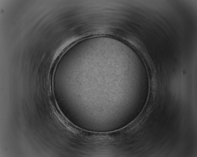 X0000051860886200507012338