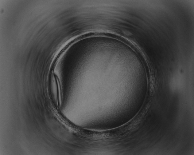 X0000051860887200507012338