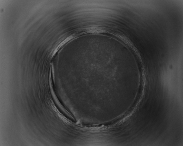 X0000051860889200507012338