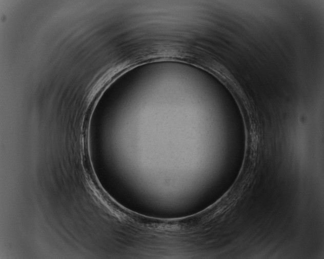 X0000051860890200507012338