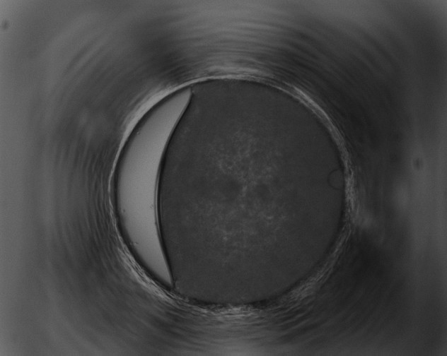 X0000051860891200507012338