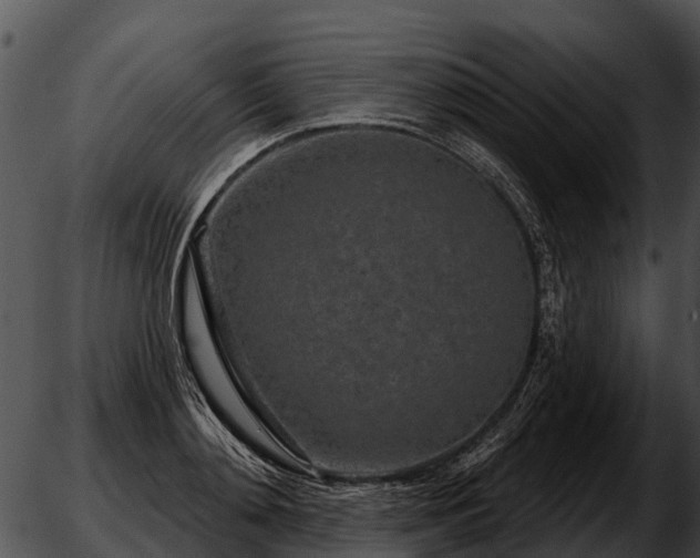 X0000051860892200507012337