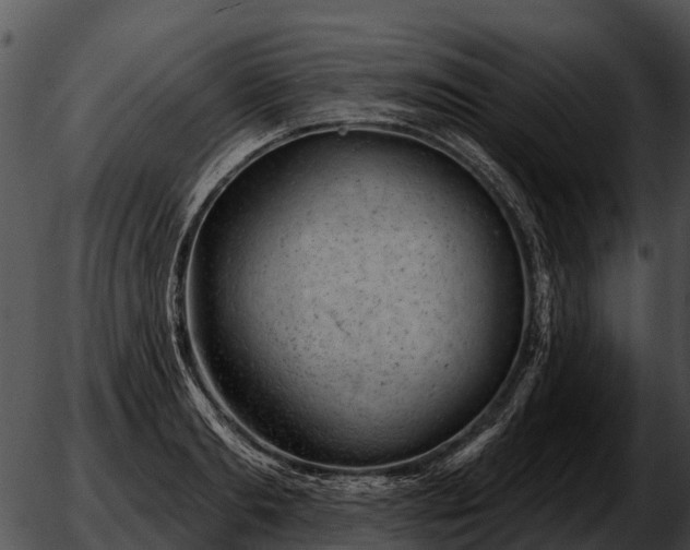 X0000051860893200507012337