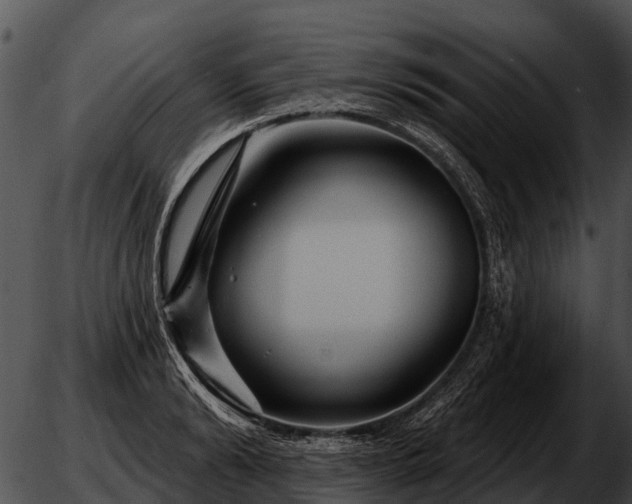 X0000051860894200507012337