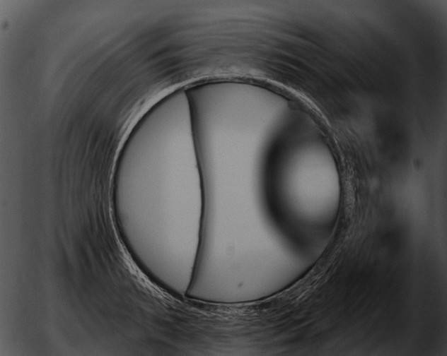 X0000051860895200507012337