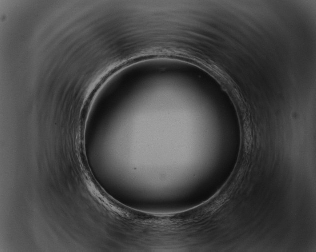 X0000051860896200507012337