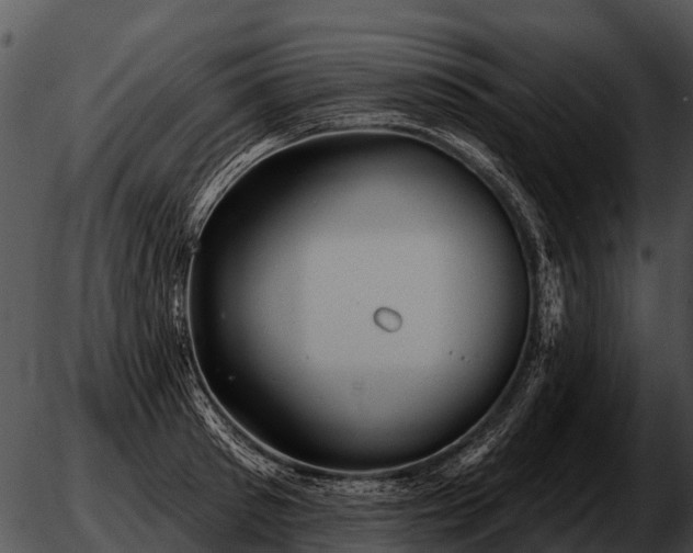 X0000051860897200507012337