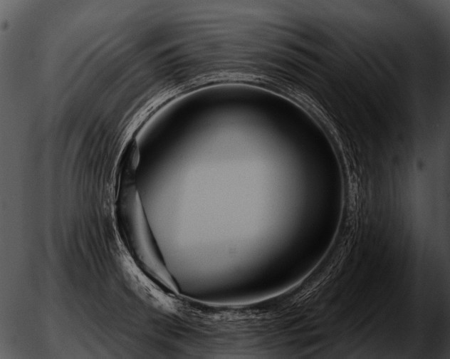 X0000051860898200507012337