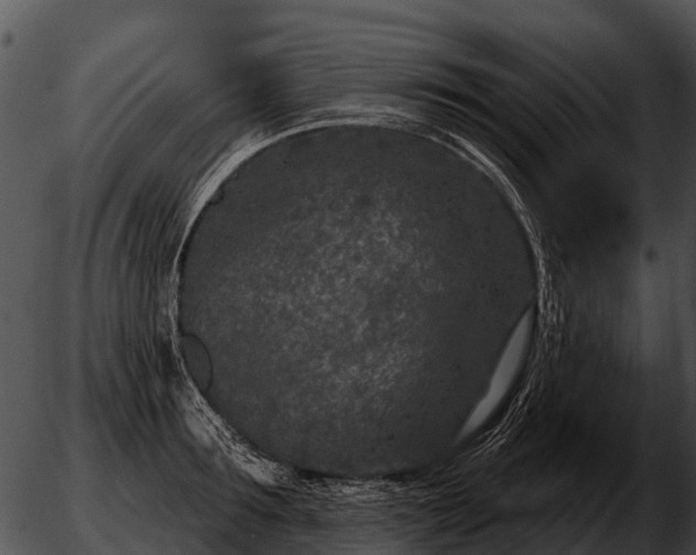 X0000051860899200507012337