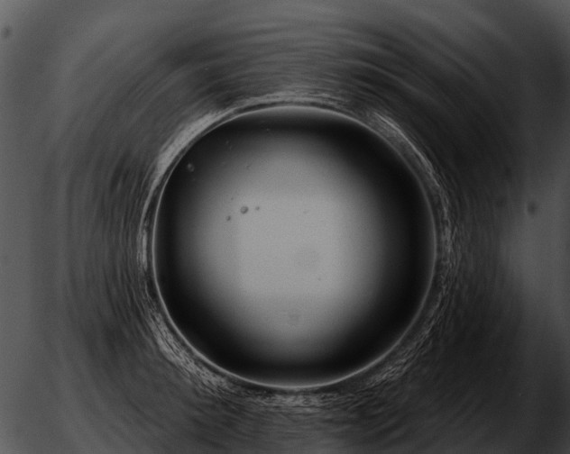 X0000051860900200507012337