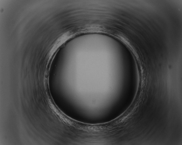 X0000051860901200507012337