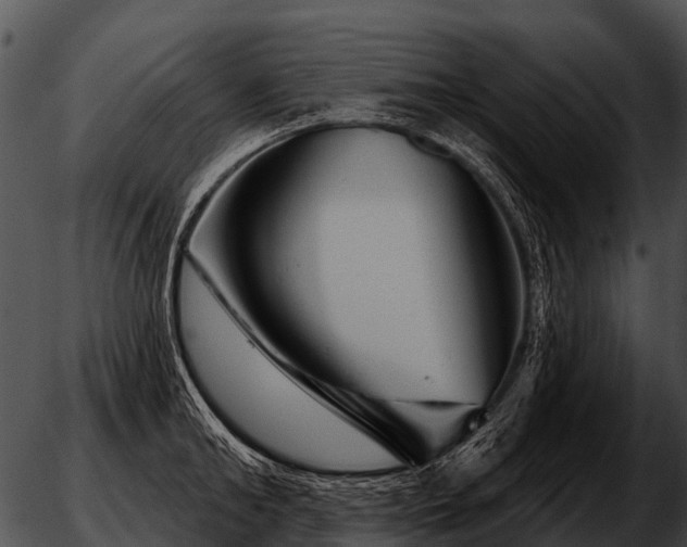 X0000051860902200507012337