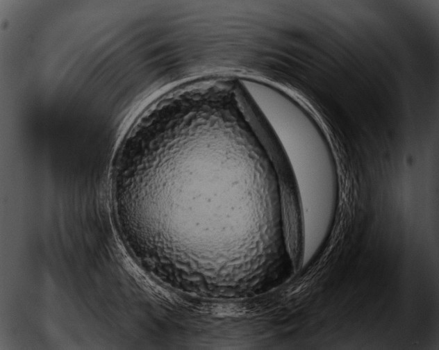 X0000051860903200507012337