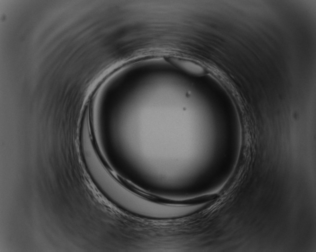 X0000051860904200507012337