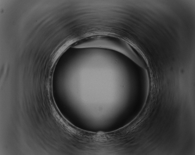 X0000051860906200507012337