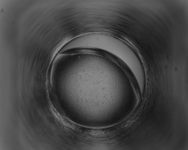 X0000051860907200507012337