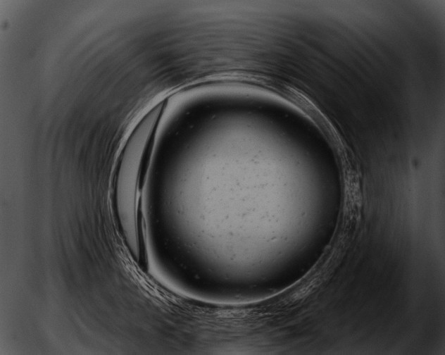 X0000051860908200507012337