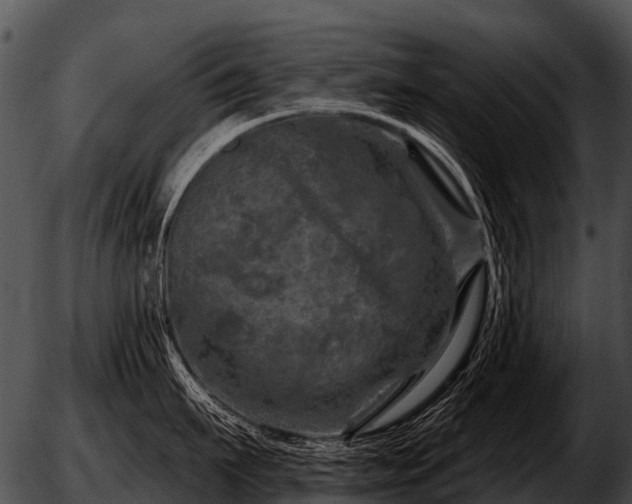 X0000051860911200507012337