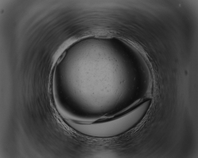 X0000051860912200507012337