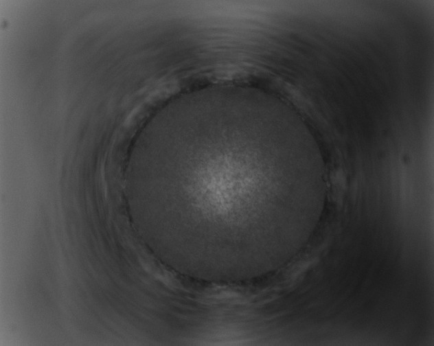 X0000051860913200507012336