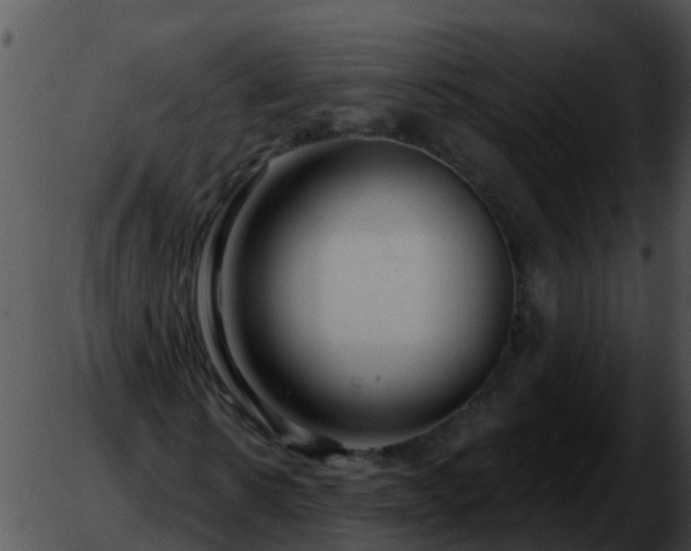 X0000051860914200507012336