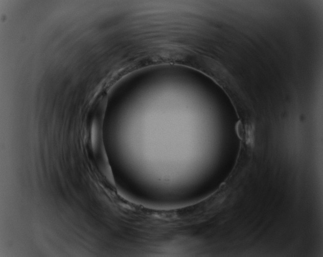 X0000051860915200507012336