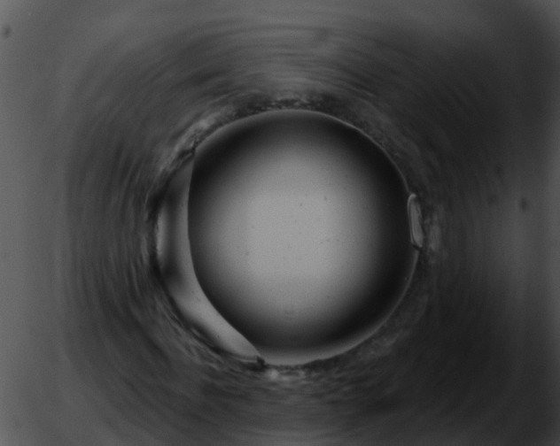 X0000051860916200507012336