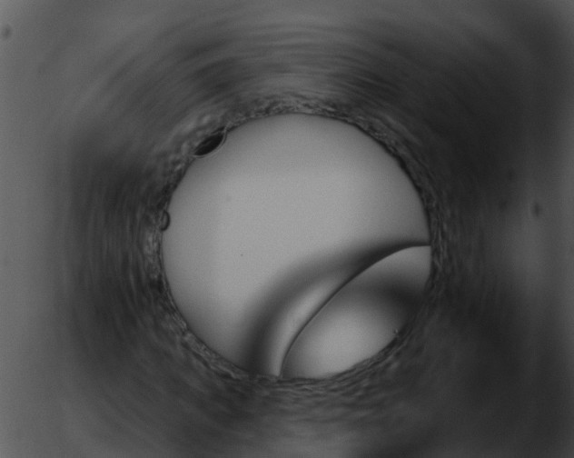 X0000051860917200507012336