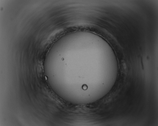 X0000051860918200507012336