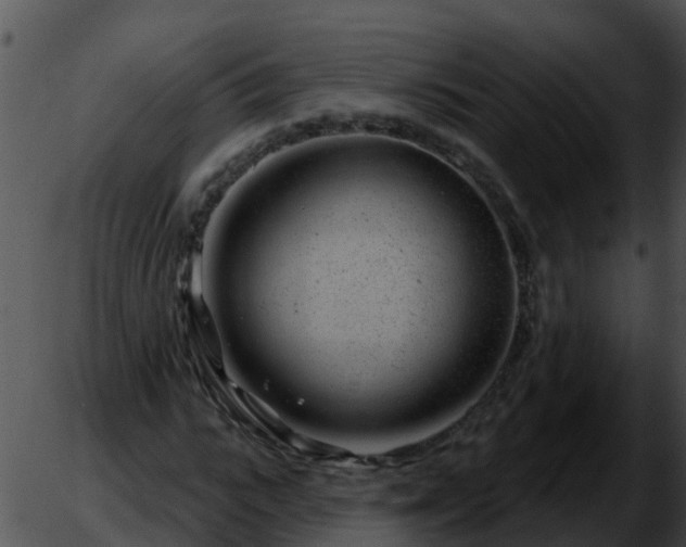 X0000051860919200507012336