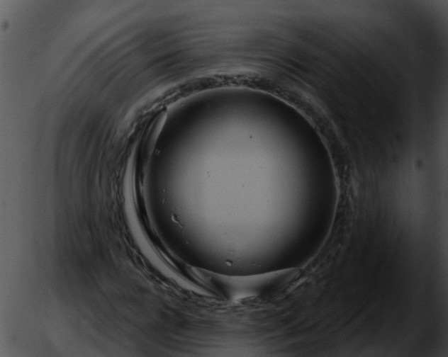 X0000051860920200507012336