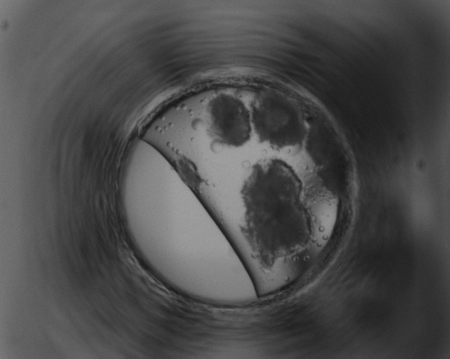 X0000051860921200507012337